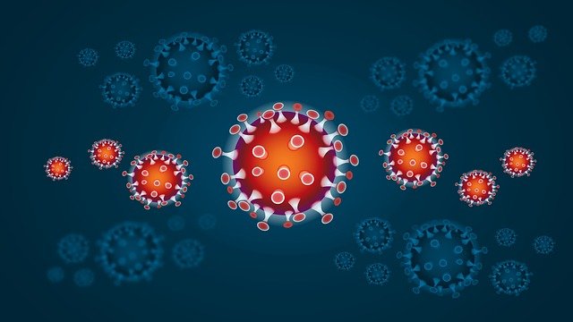 Immunity  booster